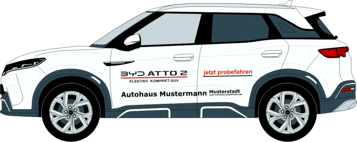BYD ATTO 2 Nr. 3225