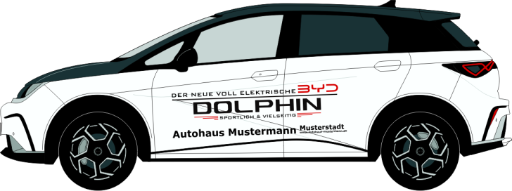 BYD Dolphin Nr 3227