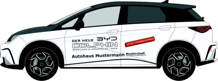 BYD Dolphin Nr 3229