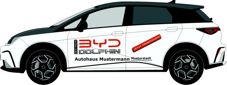 BYD Dolphin Nr 3231