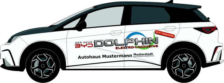 BYD Dolphin Nr 3234