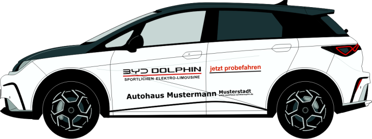 BYD Dolphin Nr 3237
