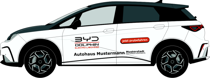 BYD Dolphin Nr 3238